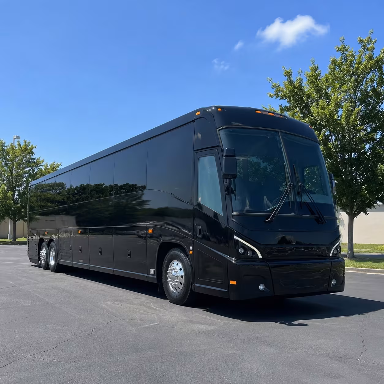 corona military ceremony and troop transportation